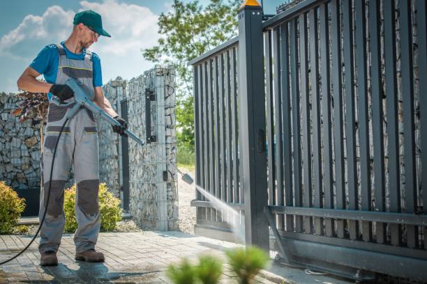 Best Solar Panel Cleaning  in Stevensville, MI