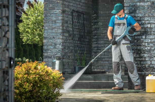 Best Animal Enclosure Cleaning  in Stevensville, MI