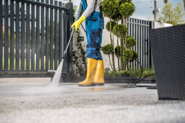 Best Driveway Pressure Washing  in Stevensville, MI